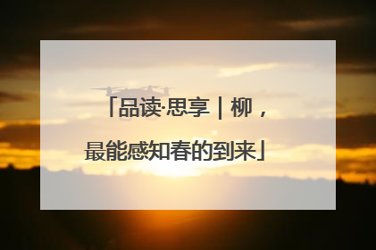 品读·思享｜柳，最能感知春的到来