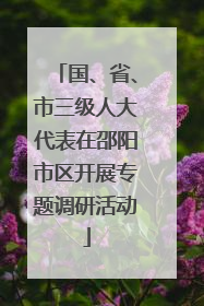 国、省、市三级人大代表在邵阳市区开展专题调研活动