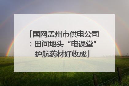 国网孟州市供电公司：田间地头“电课堂”  护航药材好收成