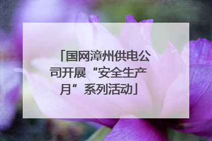 国网漳州供电公司开展“安全生产月”系列活动
