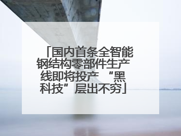 国内首条全智能钢结构零部件生产线即将投产 “黑科技”层出不穷