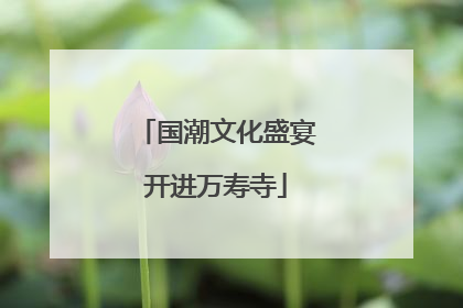 国潮文化盛宴开进万寿寺