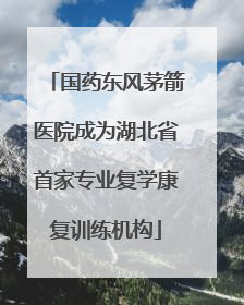 国药东风茅箭医院成为湖北省首家专业复学康复训练机构