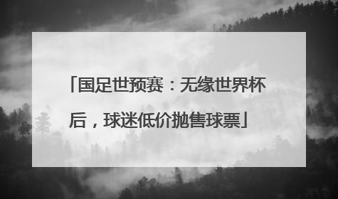 国足世预赛：无缘世界杯后，球迷低价抛售球票
