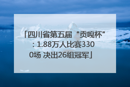 四川省第五届“贡嘎杯”：1.88万人比赛3300场 决出26组冠军