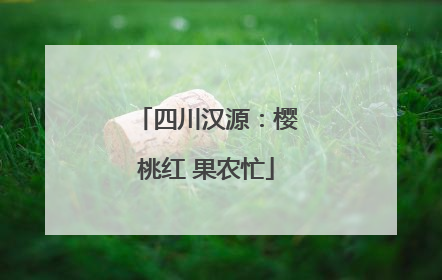 四川汉源：樱桃红 果农忙