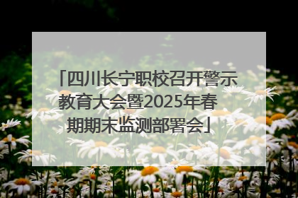 四川长宁职校召开警示教育大会暨2025年春期期末监测部署会