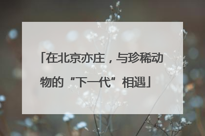 在北京亦庄，与珍稀动物的“下一代”相遇