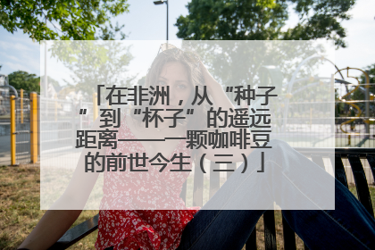 在非洲，从“种子”到“杯子”的遥远距离——一颗咖啡豆的前世今生（三）