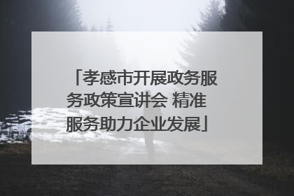 孝感市开展政务服务政策宣讲会 精准服务助力企业发展