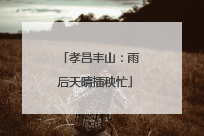 孝昌丰山：雨后天晴插秧忙