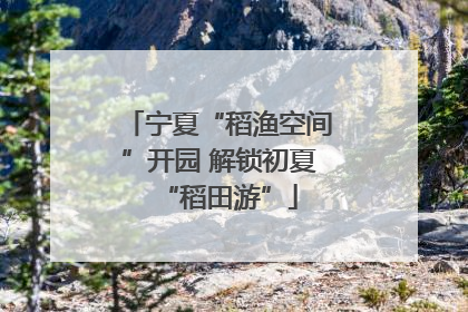 宁夏“稻渔空间”开园 解锁初夏“稻田游”
