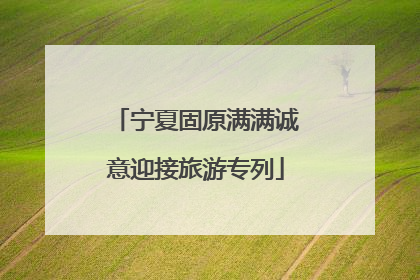 宁夏固原满满诚意迎接旅游专列