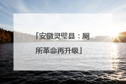 安徽灵璧县：厕所革命再升级