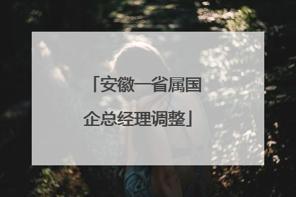 安徽一省属国企总经理调整