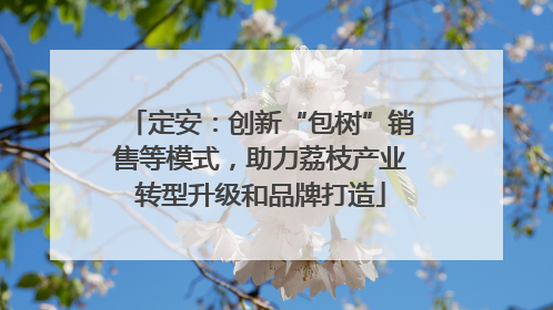 定安：创新“包树”销售等模式，助力荔枝产业转型升级和品牌打造