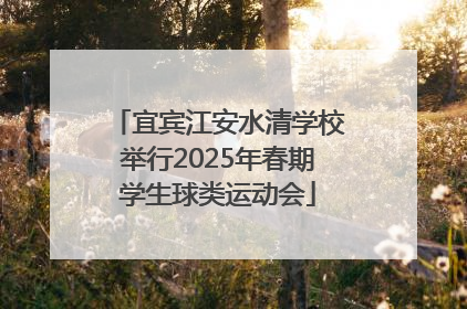 宜宾江安水清学校举行2025年春期学生球类运动会