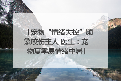 宠物“情绪失控”频繁咬伤主人 医生：宠物夏季易情绪中暑
