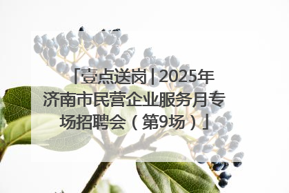 壹点送岗│2025年济南市民营企业服务月专场招聘会（第9场）