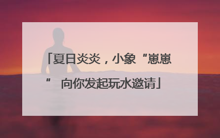 夏日炎炎，小象“崽崽” 向你发起玩水邀请