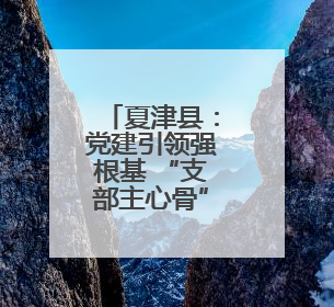 夏津县：党建引领强根基 “支部主心骨”聚合力