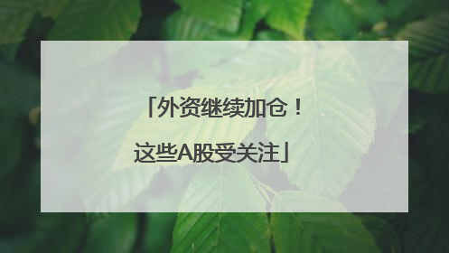 外资继续加仓！这些A股受关注