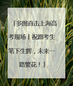 多图直击上海高考现场丨祝愿考生笔下生辉，未来一路繁花！