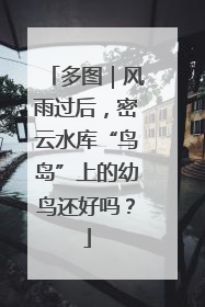 多图｜风雨过后，密云水库“鸟岛”上的幼鸟还好吗？
