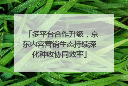 多平台合作升级，京东内容营销生态持续深化种收协同效率