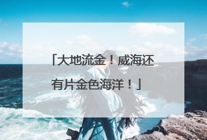 大地流金！威海还有片金色海洋！