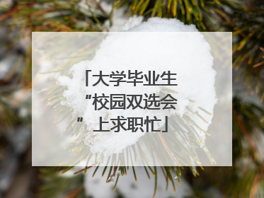 大学毕业生“校园双选会”上求职忙