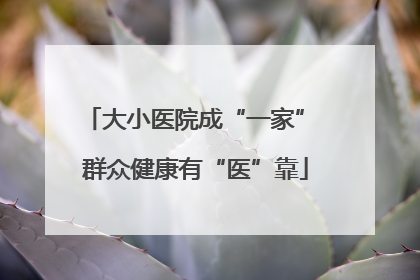 大小医院成“一家” 群众健康有“医”靠
