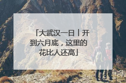 大武汉一日︱开到六月底，这里的花比人还高