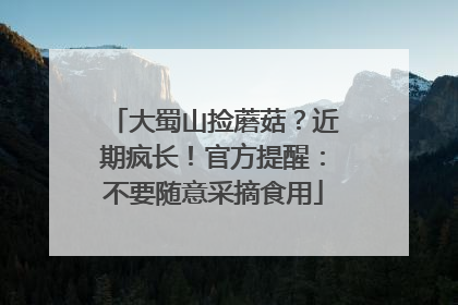 大蜀山捡蘑菇？近期疯长！官方提醒：不要随意采摘食用