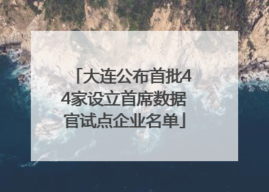大连公布首批44家设立首席数据官试点企业名单