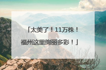 太美了！11万株！福州这里绚丽多彩！
