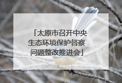 太原市召开中央生态环境保护督察问题整改推进会