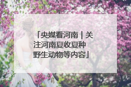 央媒看河南｜关注河南夏收夏种 野生动物等内容