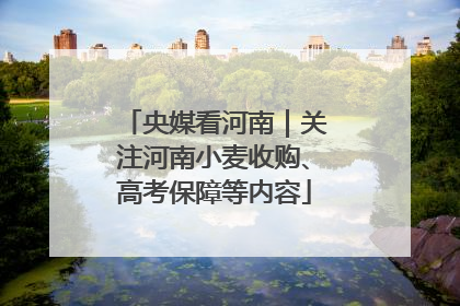 央媒看河南｜关注河南小麦收购、高考保障等内容