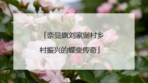 奈曼旗刘家堡村乡村振兴的蝶变传奇