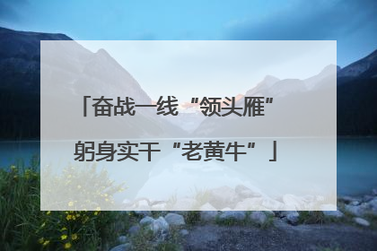 奋战一线“领头雁” 躬身实干“老黄牛”