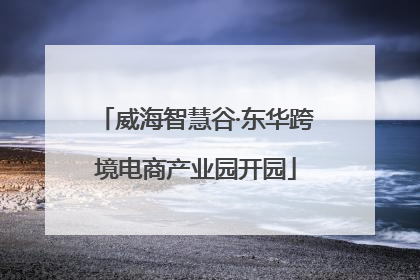 威海智慧谷·东华跨境电商产业园开园