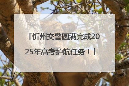 忻州交警圆满完成2025年高考护航任务！