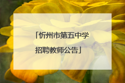 忻州市第五中学招聘教师公告