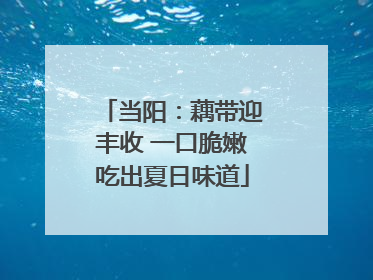 当阳：藕带迎丰收 一口脆嫩吃出夏日味道