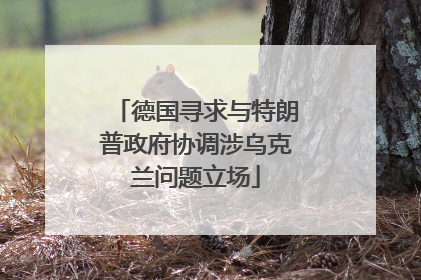 德国寻求与特朗普政府协调涉乌克兰问题立场
