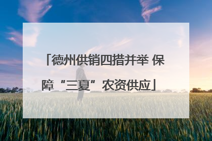 德州供销四措并举 保障“三夏”农资供应