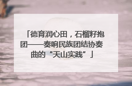 德育润心田，石榴籽抱团——奏响民族团结协奏曲的“天山实践”