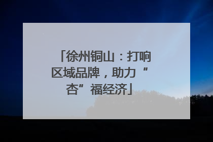 徐州铜山：打响区域品牌，助力“杏”福经济