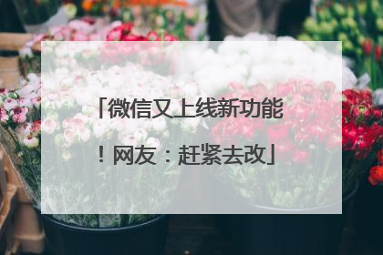 微信又上线新功能！网友：赶紧去改